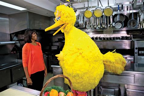 Big Bird .